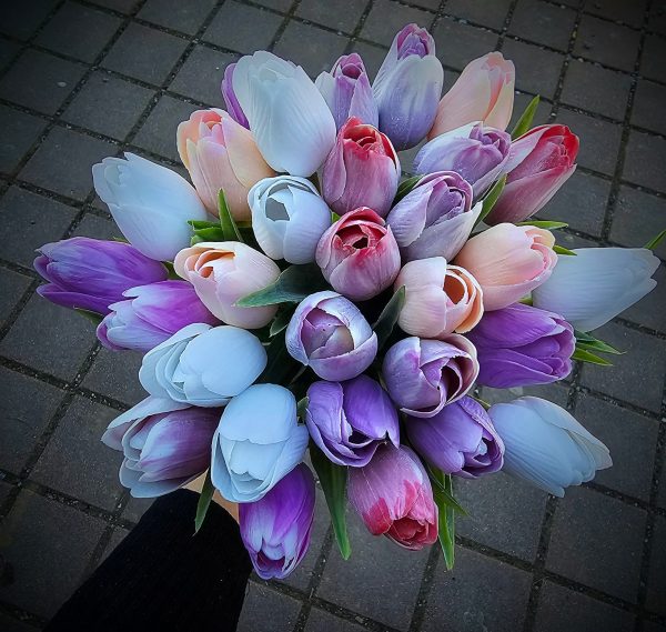 Kytica tulipánov
